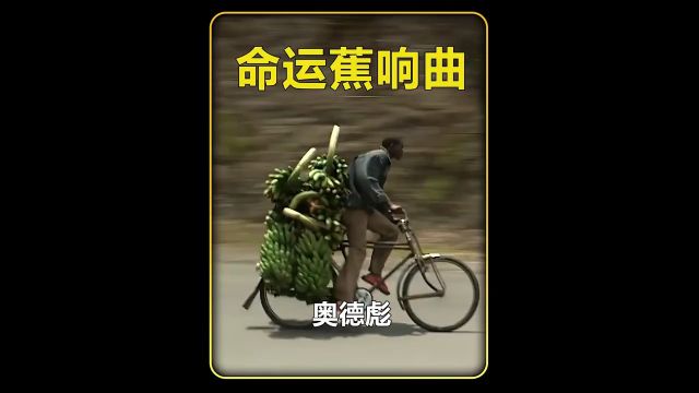 第十二集丨非洲廉价汽油的背后,是触目惊心的石油小作坊