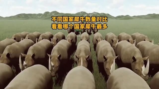 不同国家犀牛数量对比,看看哪个国家的犀牛最多!#动物科普#犀牛#涨知识#科学探索