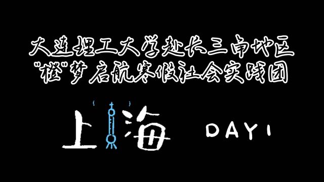 大连理工大学软件学院、国际信息与软件学院“橙”梦启航寒假社会实践团赴长三角地区企业行上海站Day1纪实