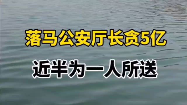 落马公安厅长贪5亿,近半为一人所送