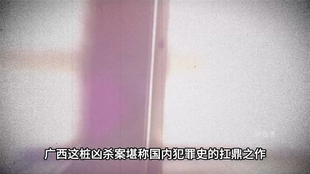 广西最残忍的案件:南宁买凶谋杀案1