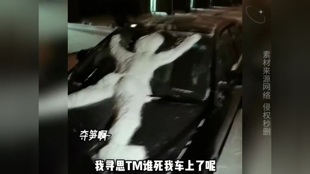 盘点堆雪人才艺大赛,南方的朋友你们怎么不参加 是因为不喜欢嘛#看看谁堆的雪人最逼真 #全国堆雪人预报地图出炉 #堆雪人 #一起堆雪人