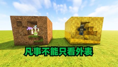 【MC短片合集】MC告诉了我们很多道理!_高清1080P在线观看平台_腾讯视频