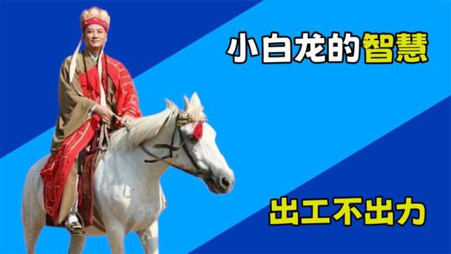 小白龙为何一直出工不出力,即使唐僧面临危险,他也不出手相助