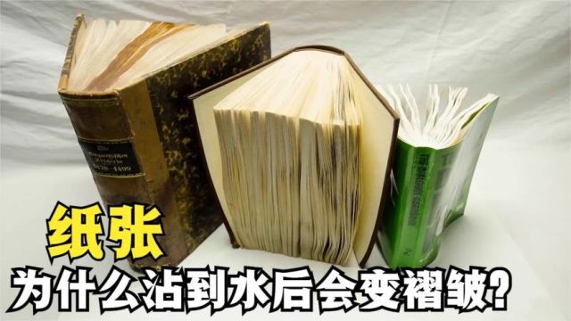 为什么一张平整的纸在被水浸湿后,会变得褶皱?看完长知识了