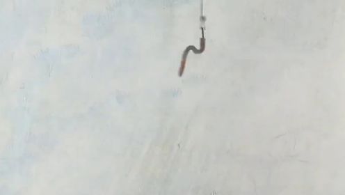 《强者上钩》黑鱼狂暴 吞食鱼虾，又与龟抢食饵钩，争着做釜中之馔，1988国产水墨动画