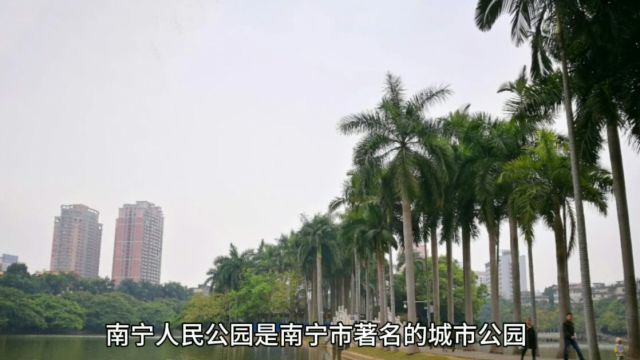 南宁人民公园游玩攻略