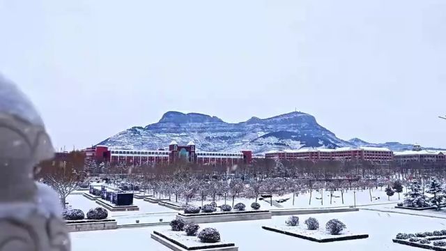 枣庄市山亭区:瑞雪兆丰年 邀您共白头