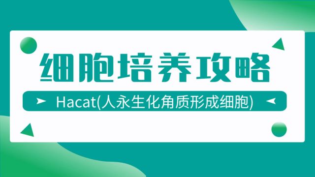 HaCaT细胞培养注意事项