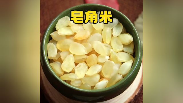 你的家乡有这种植物吗 #科普 #美食 原来皂荚树的果实做成的美食堪比燕窝啊