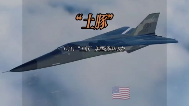 土豚 美国通用 F111