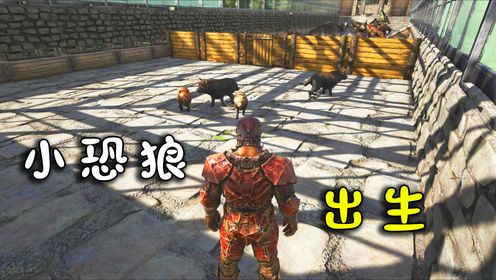 方舟37：意外惊喜，我的狼群给我生了四只小恐狼宝宝！_高清1080P在线观看平台_腾讯视频