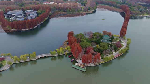 武汉东湖冬景采风