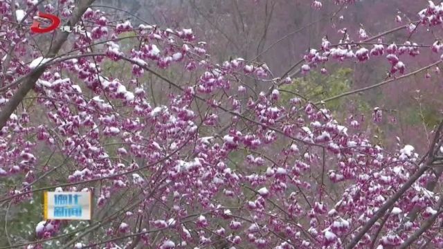 德化这个地方太美了!今年春节必逛,还是免费的哦!