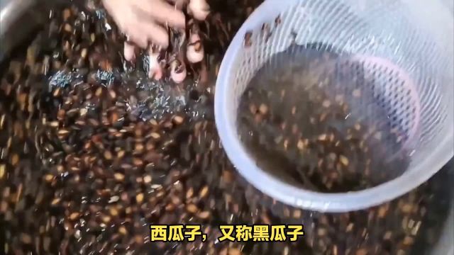 西瓜子:黑瓜子它常用于制作零食、煮食、烤制等,也可以用于制作糕点、糖果等食品.在某些地方,它也被用作食材用于制作汤羹或炖菜.#一起干饭叭