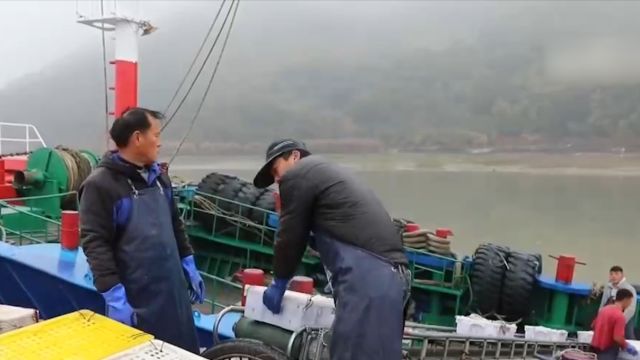 甘肃兰州:新年“热”消费,西北海鲜集散地供销两旺