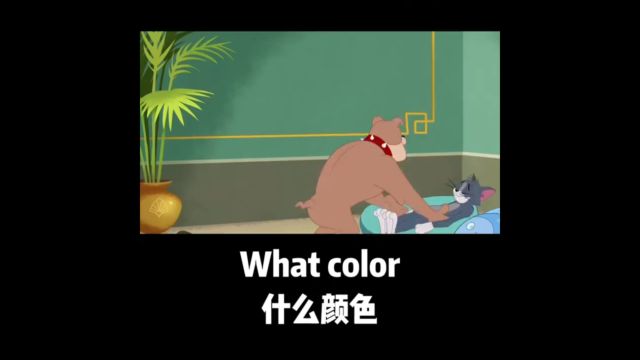 每日英语口语练习What color什么颜色