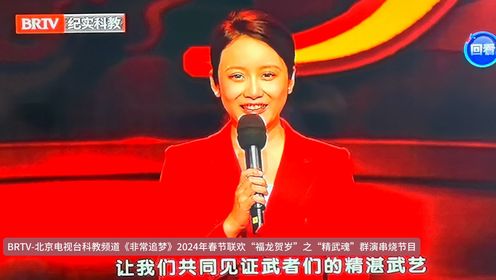 BRTV-北京电视台科教频道《非常追梦》2024年春节联欢“福龙贺岁”之“精武魂”群演串烧节目