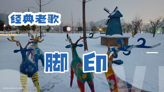 怀旧校园歌曲:脚印.街景:河南许昌清潩河千亩游园雪景