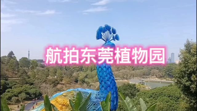 航拍东莞市植物园