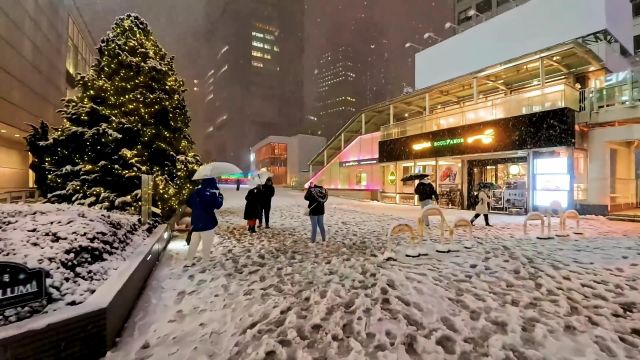 东京丨大雪 坏消息,没钱去北海道.好消息,东京下雪了.