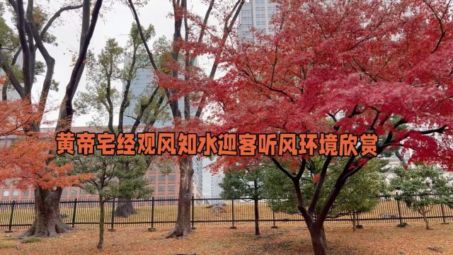 黄帝宅经观风知水某公园迎客听风园林景观环境布局