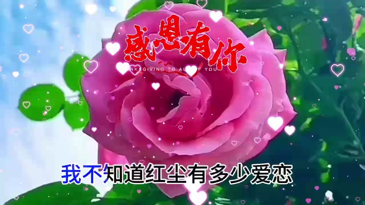 感谢一路有你相伴,感恩的心.