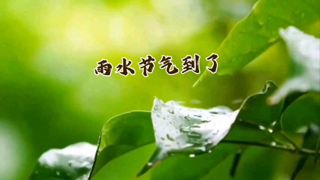 雨水节气:春雨滋润,幸福安康