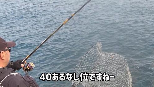 海钓矶钓，日本五岛列岛，鱼是到底多，随便钓钓都爽