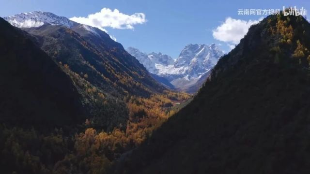 美丽中国|中华名山系列纪录片《白马雪山》