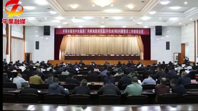 平果市落实中央通报广西旱改水项目问题整改工作部署会召开