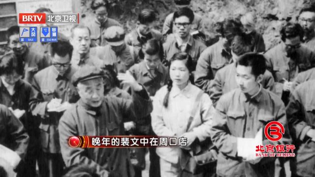 距离“北京人”化石,已经过去了38年,裴文中依然痛彻心扉