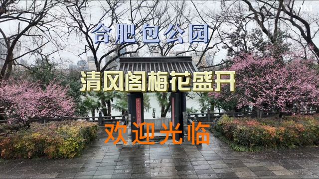 合肥包公园清风阁梅花喜迎客