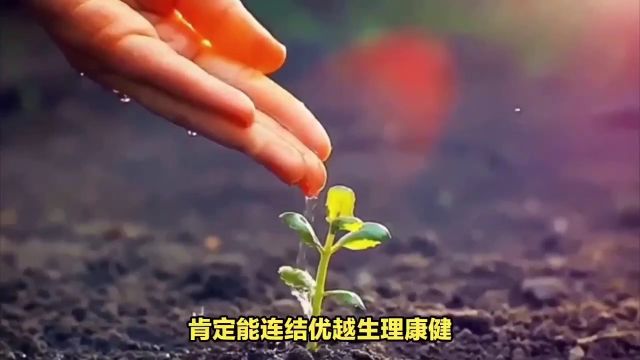 保持稳定的心态