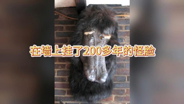 在墙上挂了200多年的怪脸,这到底是个什么东西?