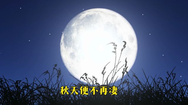 分分秒秒牵挂你,日日夜夜陪伴你