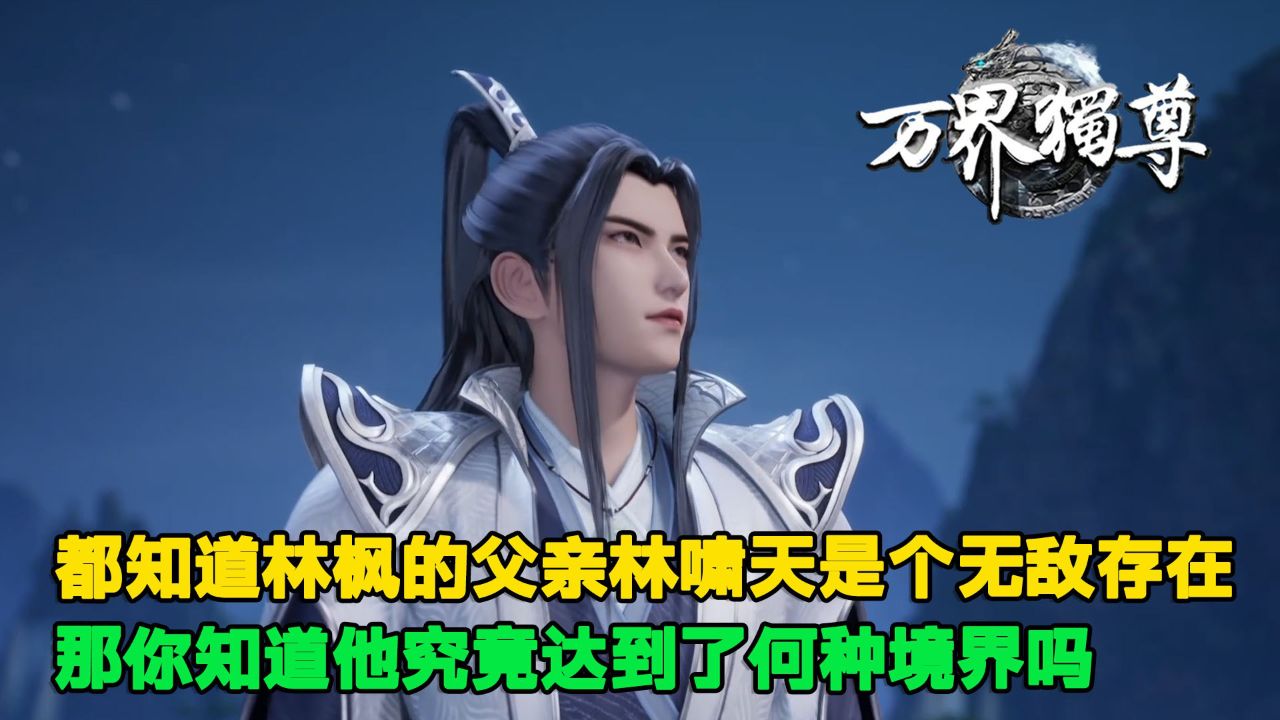 万界独尊林枫父亲
