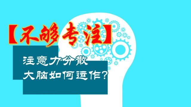 注意力完全无法集中,大脑的专注力机制是如何崩坏的?