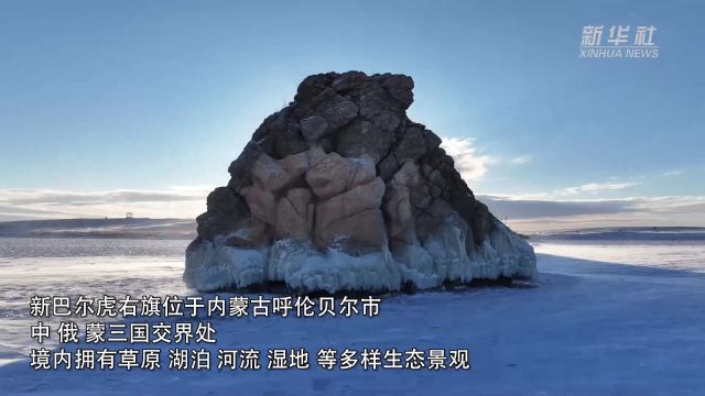 新巴尔虎右旗:辽阔宁静的雪原画卷