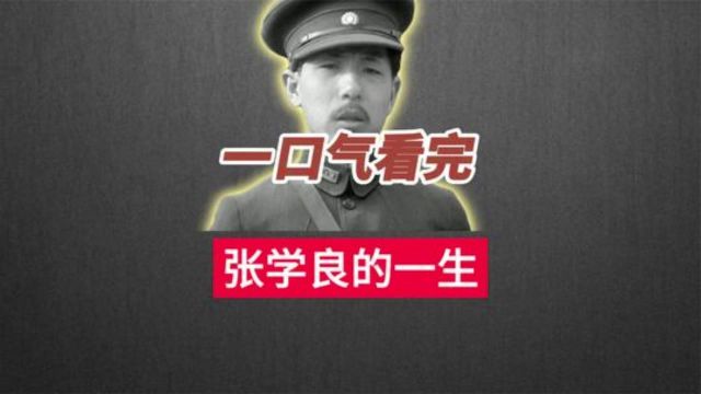 一口气看完少帅张学良的一生