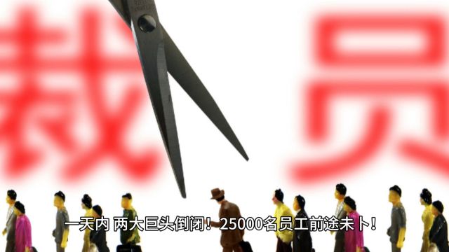 一天内,两大巨头倒闭! 25000名员工前途未卜! “绝对是毁灭性的”...