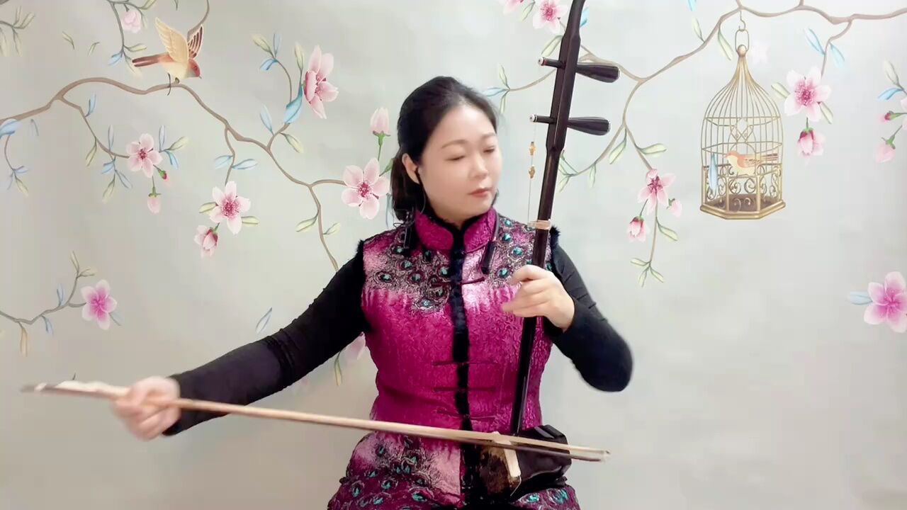 《天路》二胡演奏