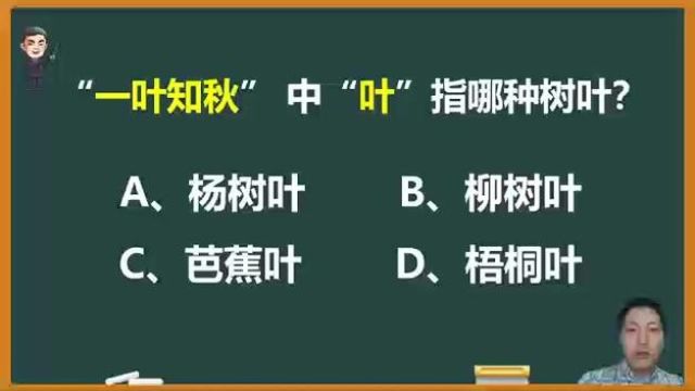 “一叶知秋”中的“叶”是指哪种树叶? #成语 #语文 #文化常识 #知识分享