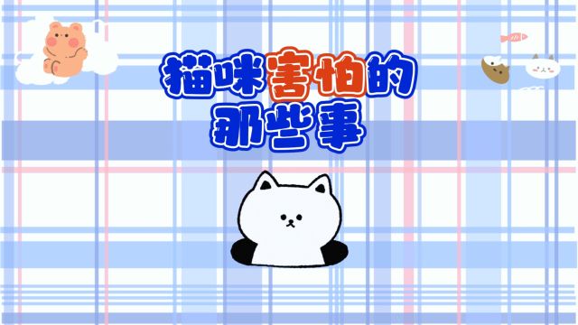 你知道猫咪害怕什么?