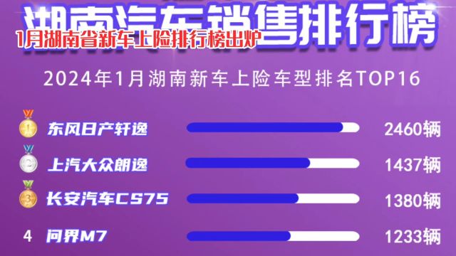 新能源汽车遇冷?湖南市场燃油车为何独占鳌头?