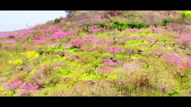 春风得意寻欢趣,快来湖北鄂州《上春山》 江南水乡鄂州邀你相见!