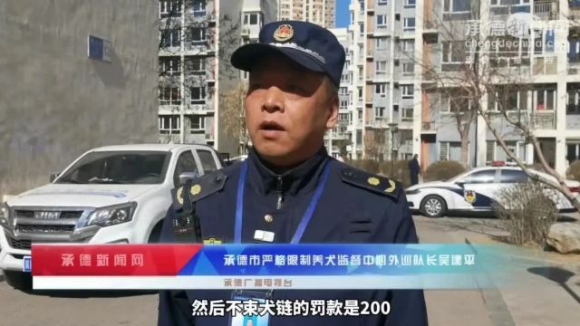 注意!2024年承德市不文明养犬联合整治行动正式展开