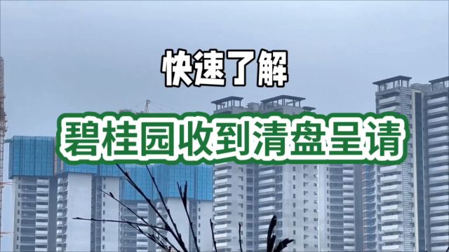 碧桂园收到清盘呈请会被清算资产吗?