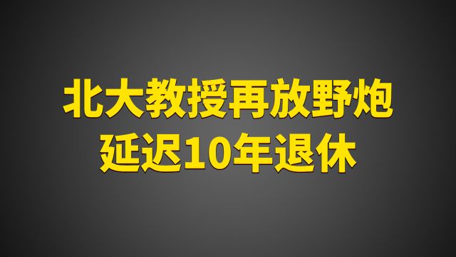 北大教授再放野炮!建议推迟10年退休,反驳四起