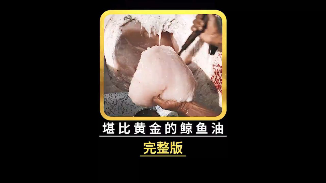 一头鲸鱼够全村人吃上一个月,堪称黄金的鲸油可以制成油灯的燃